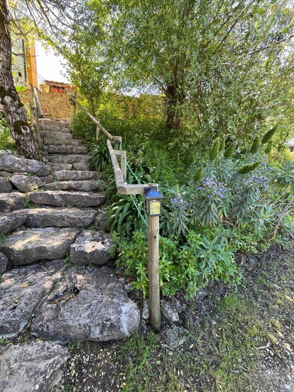 Quinta Laranja - Turismo Rural - Alvorninha Εξωτερικό φωτογραφία