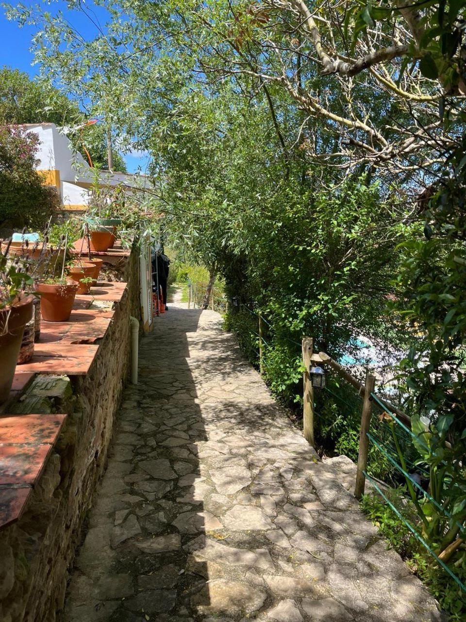 Quinta Laranja - Turismo Rural - Alvorninha Εξωτερικό φωτογραφία