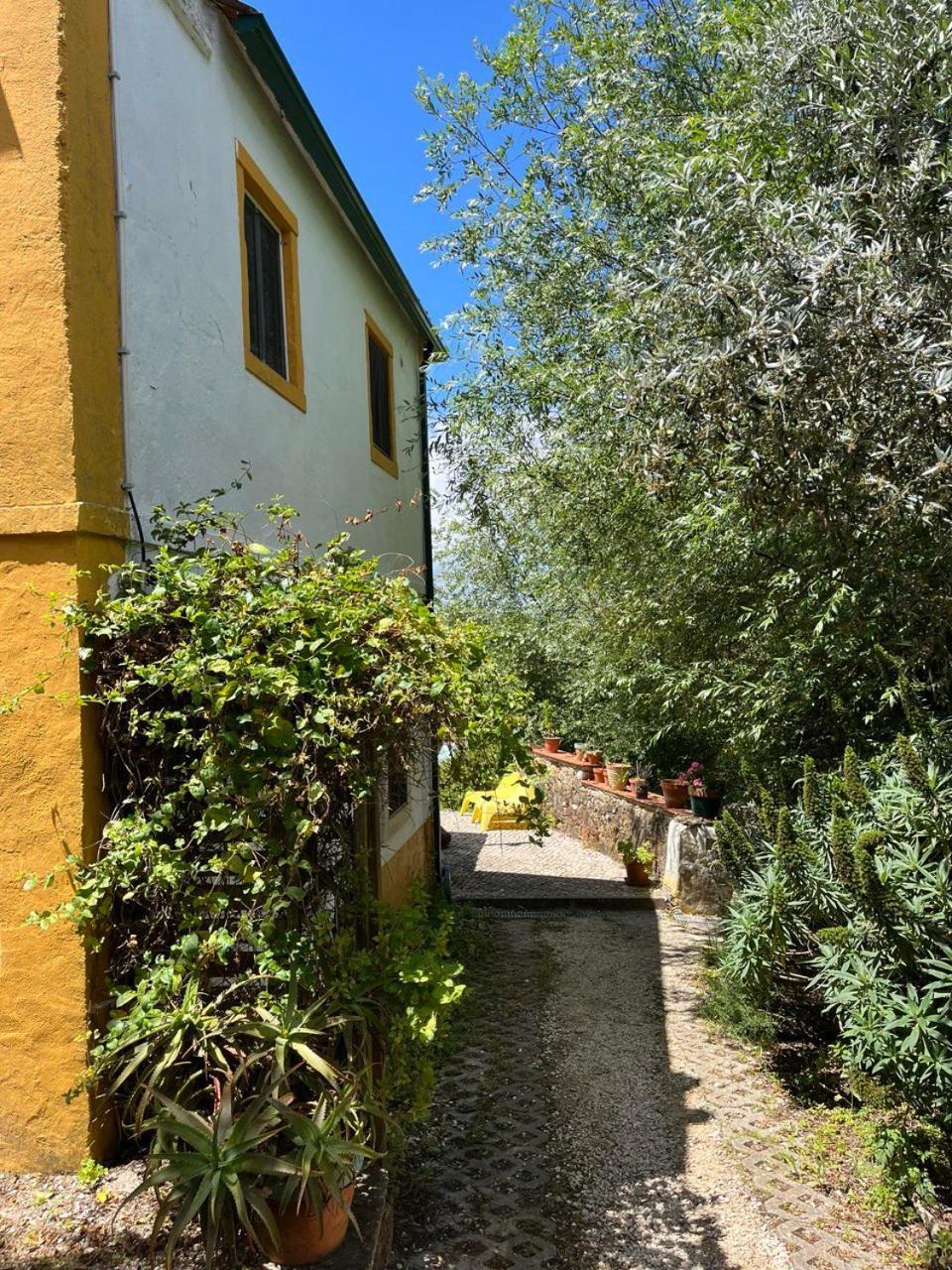 Quinta Laranja - Turismo Rural - Alvorninha Εξωτερικό φωτογραφία