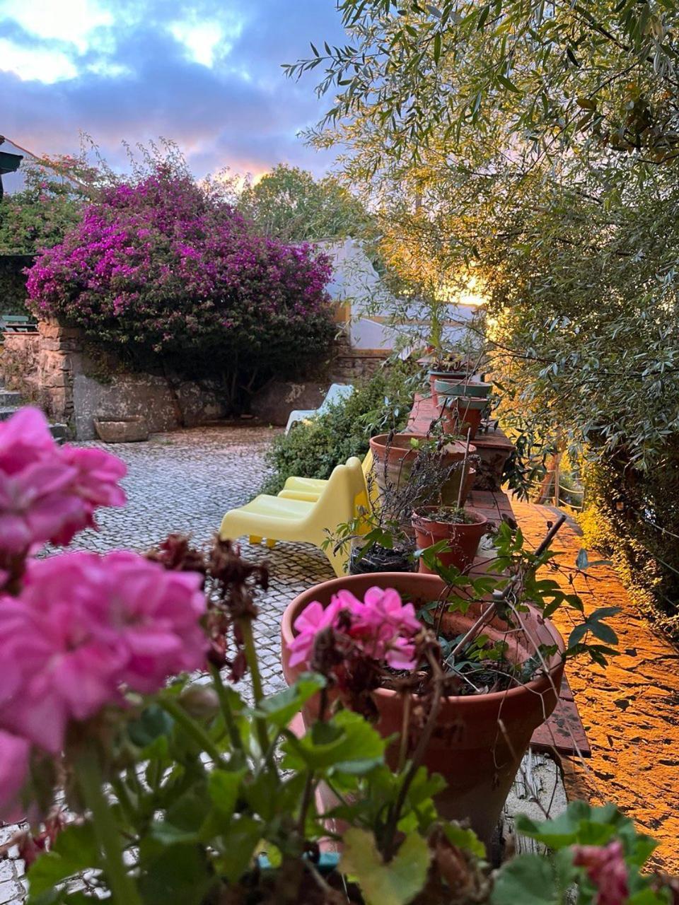 Quinta Laranja - Turismo Rural - Alvorninha Εξωτερικό φωτογραφία